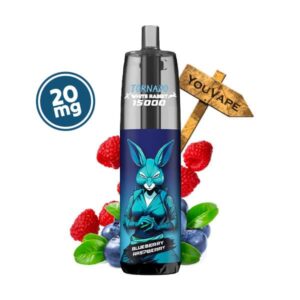 La Puff Tornado 15000 Blueberry Raspberry 20mg est une puff rechargeable longue durée, avec 20ml de eliquide à la saveur de myrtille et framboise.