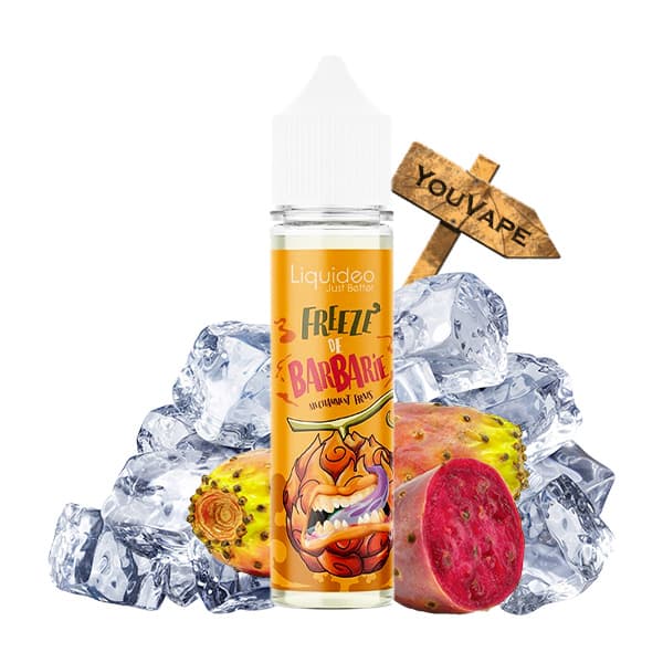 Le e liquide Freeze de Barbarie de Liquideo est une saveur exotique et ultra-fraîche de figue de barbarie.