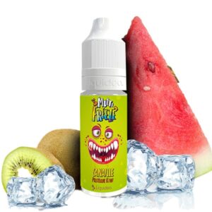 Le e-liquide Canaille de la gamme Multi Freeze 50ml de Liquideo est un duo de pastèque et de kiwi avec une belle fraîcheur.